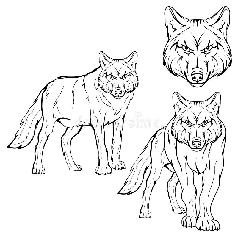 Wolf set.