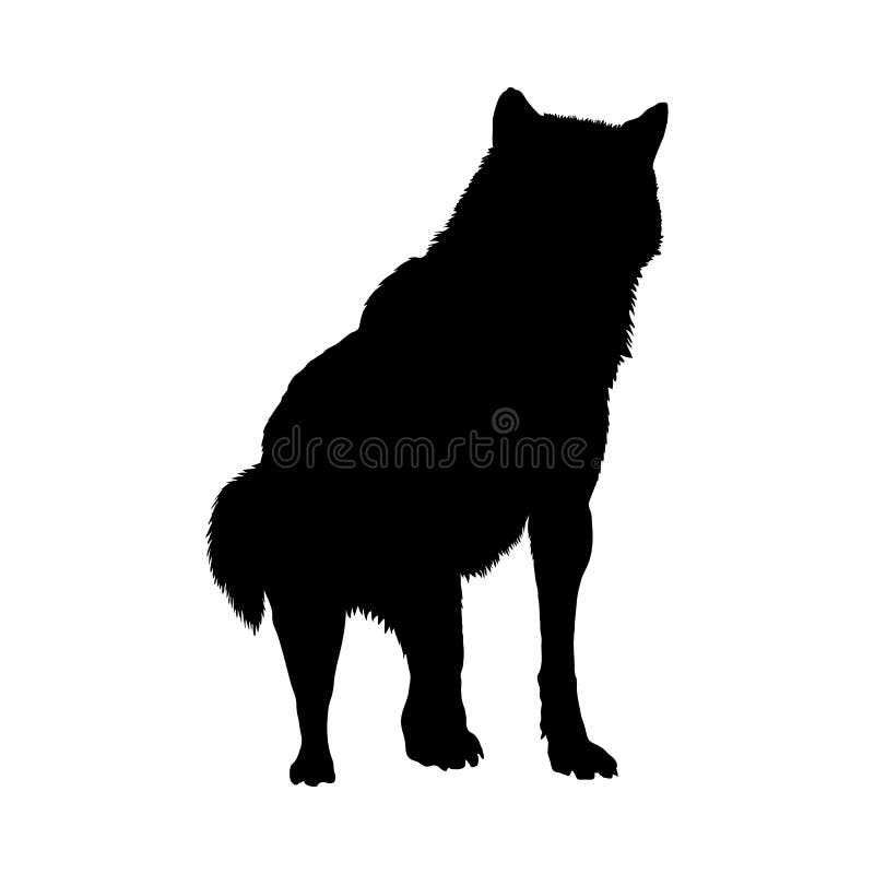 Highly Detailed Abstract Wolf Illustration Stock Illustrations 17