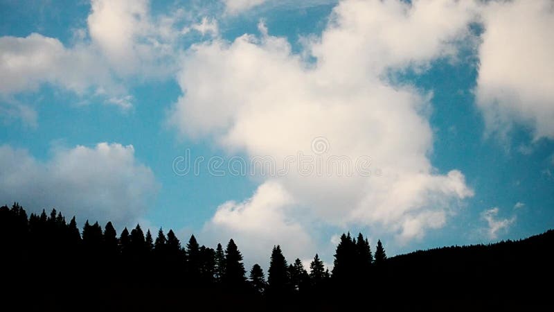 Wolken bewegen sich über Tannenbaumschattenbilder in den Bergen