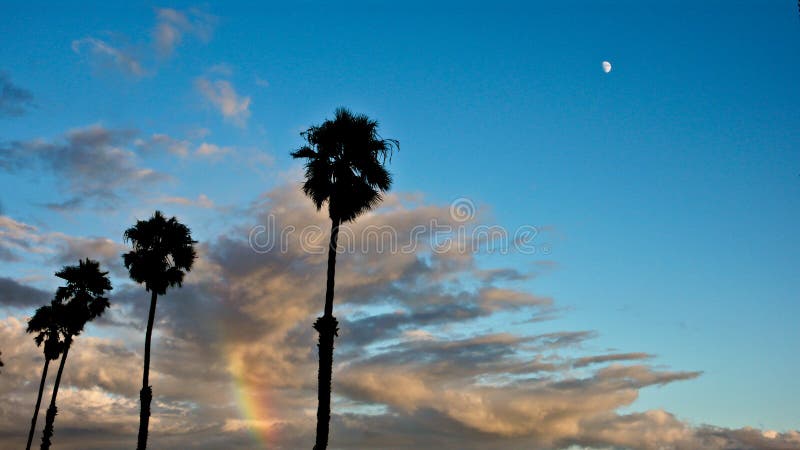 Wolken, Regenboog & Palmen stock fotografie Wolken, Regenboog & Palmen stock fotografie