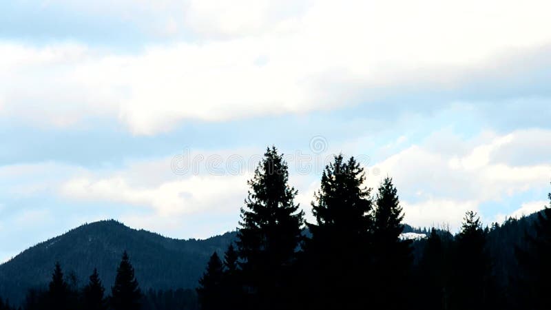 Wolkenbewegung über Bergen mit Tannenbäumen