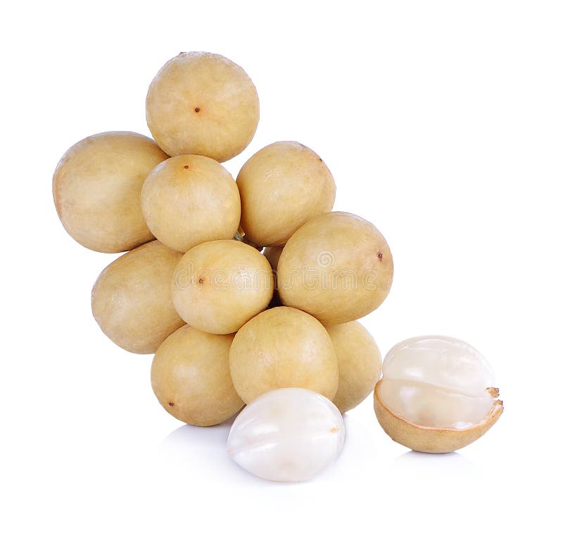 Wollongong on White Background Stock Photo Image of fresh, thailand