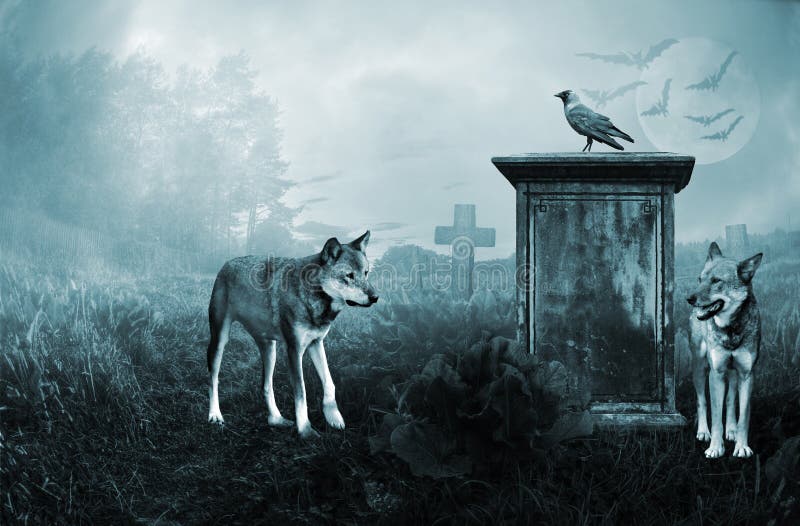 Wolves guarding an old grave in moonlight. Wolves guarding an old grave in moonlight