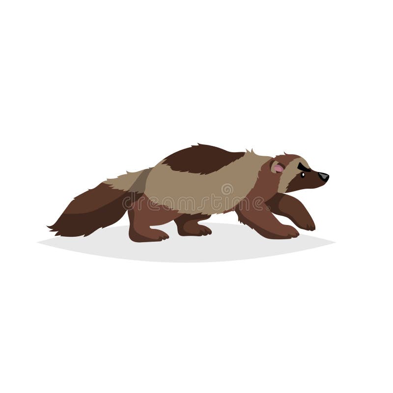 Wolverine bonito Ilustração cômica do vetor do estilo dos desenhos animados do animal selvagem da floresta Desenho animal predado ilustração do vetor Wolverine bonito Ilustração cômica do vetor do estilo dos desenhos animados do animal selvagem da floresta Desenho animal predado ilustração do vetor