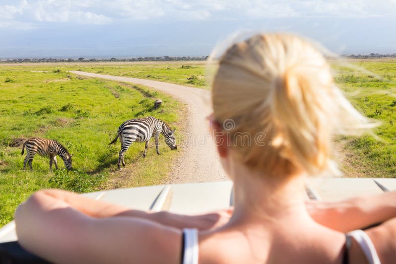 Woman on african wildlife safari. stock images Woman on african wildlife safari. stock images