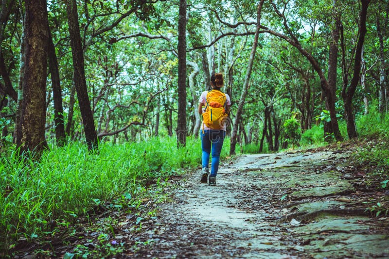 Woman Asian travel nature. Travel relax. Walk study the path Nature in the forest royalty free stock photos Woman Asian travel nature. Travel relax. Walk study the path Nature in the forest royalty free stock photos
