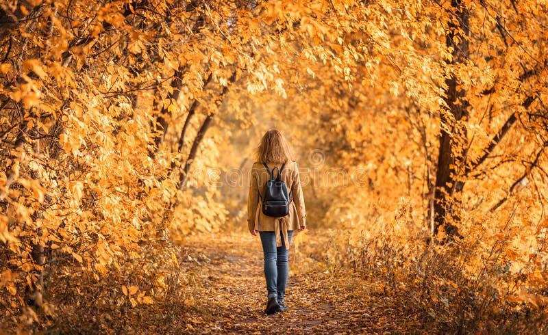 Woman in autumn park, back view. Adult girl walking away alone on path in autumn forest