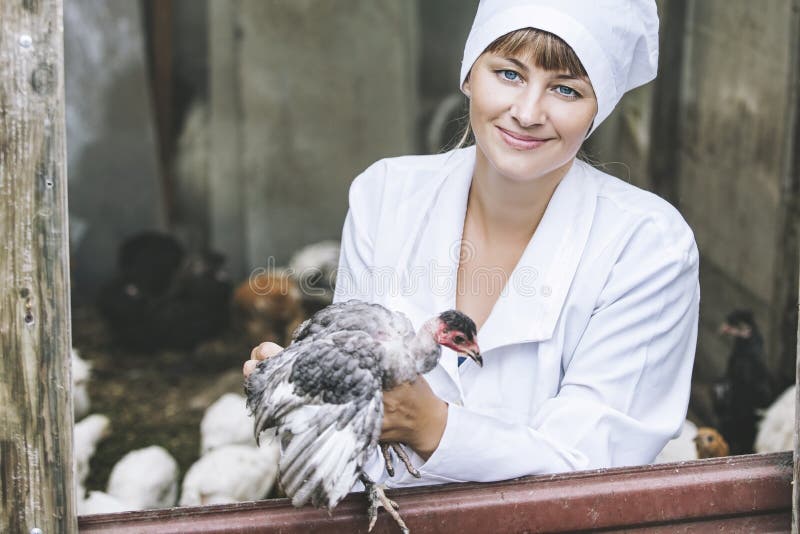 Donna in Accappatoio sorridente giovane veterinario controlla le galline in una piccola azienda privata.