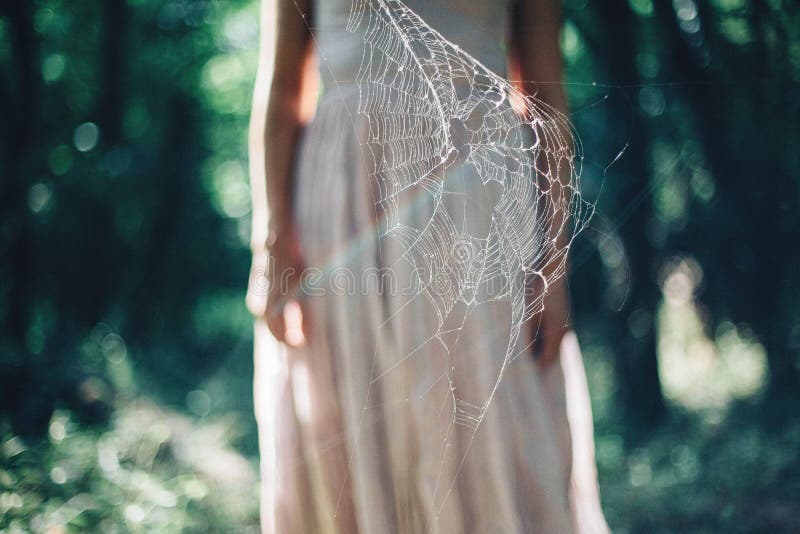 Woman in spider web stock image. Image of nymph, being - 22064723