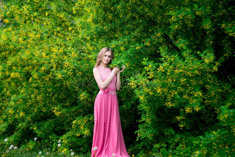 Woman in blooming yellow summer garden. Model royalty free stock photography Woman in blooming yellow summer garden. Model royalty free stock photography