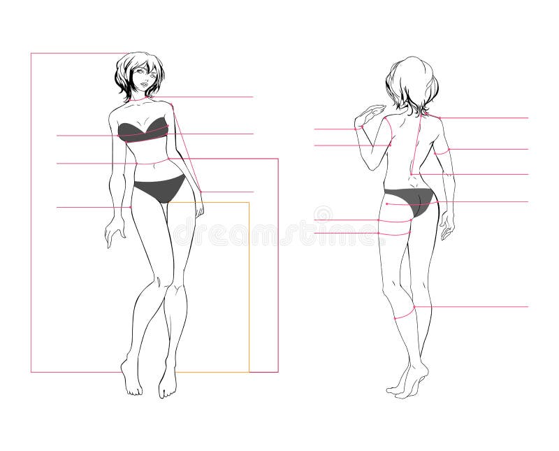 https://thumbs.dreamstime.com/b/woman-body-measurement-chart-woman-body-measurement-chart-scheme-measurement-human-body-sewing-clothes-female-figure-front-117568667.jpg