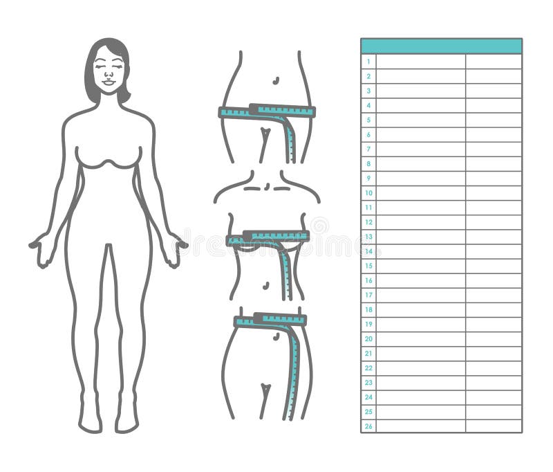 Body Measurement Template from thumbs.dreamstime.com
