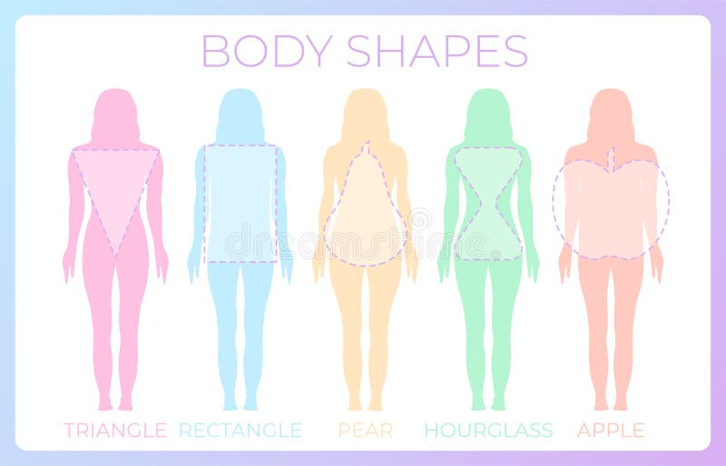 https://thumbs.dreamstime.com/b/woman-body-shape-background-illustration-vector-178470355.jpg