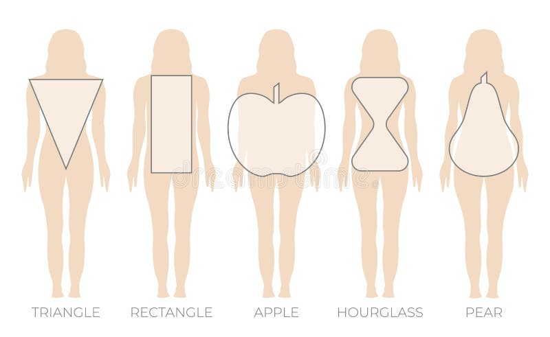 A set of female figure types, five types. Hourglass, X-silhouette. Pear, A-shaped  type. Rectangle, H-shaped silhouette. Apple, O-shaped type. Inverted Stock  Vector Image & Art - Alamy