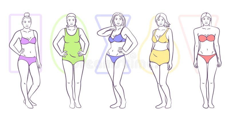 Woman body shape