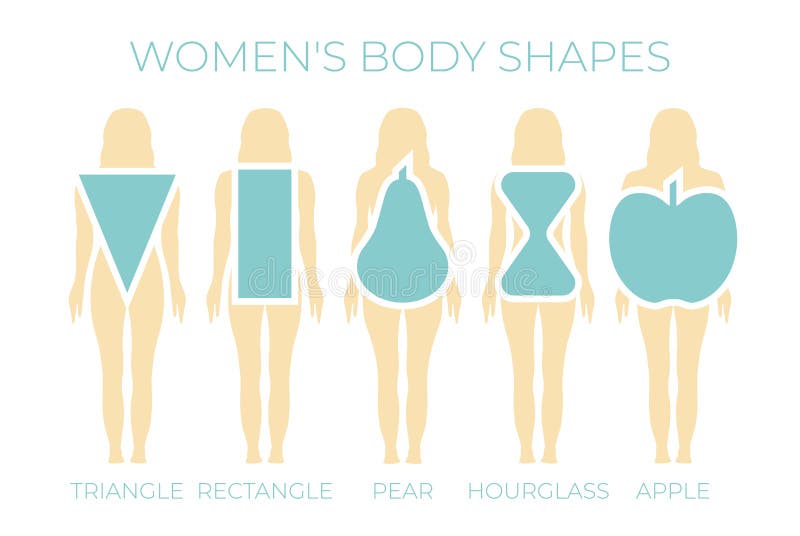 Woman body types. Apple, pear, rectangle, hourglasses shapes. Vector  illustration Stock Vector
