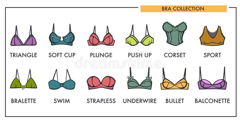 Woman bra types collection vector icons of fashion brassiere lin