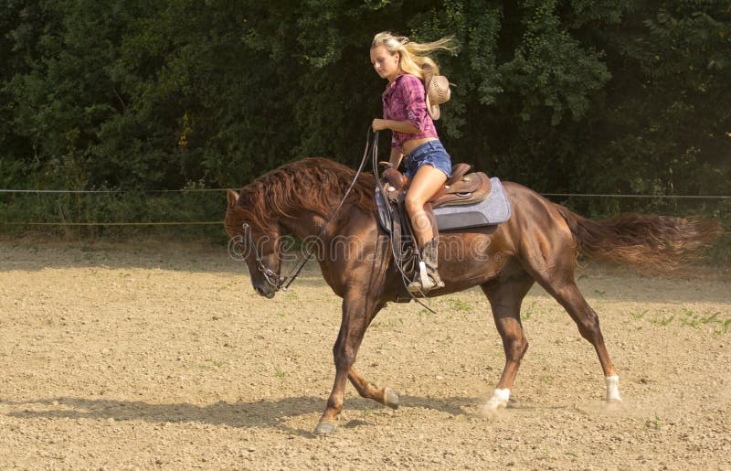 Woman On Brown Horse Royalty Free Stock Images Image 34768009