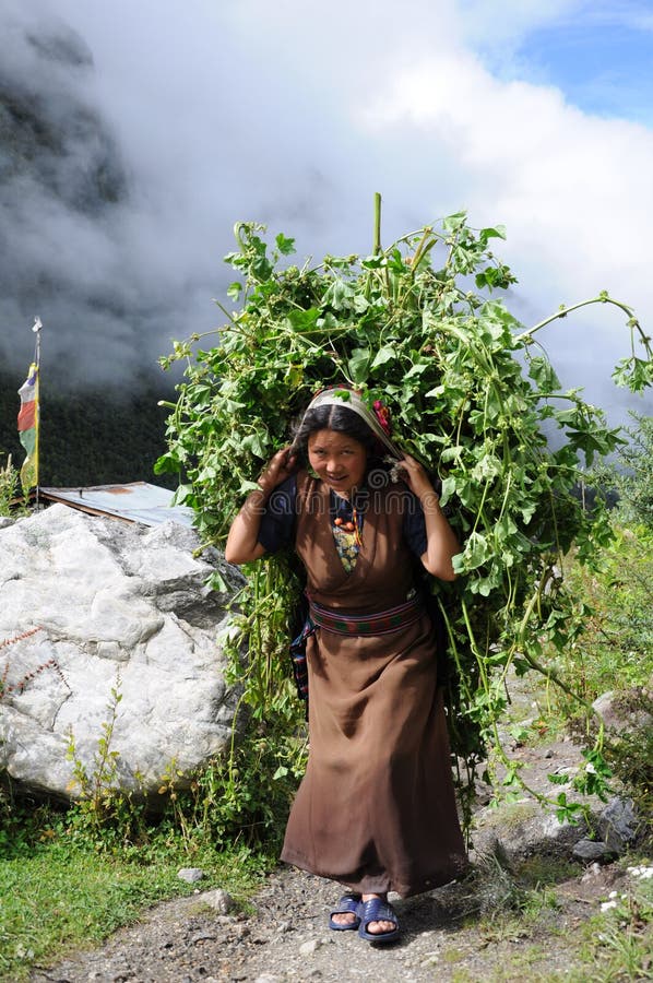 Woman carries harvest, Nepal