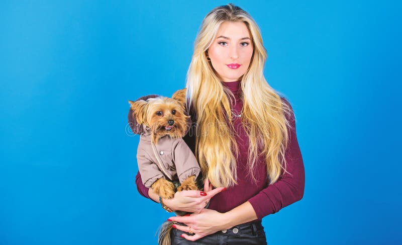 Woman carry yorkshire terrier. Dogs need clothes. Girl adorable blonde hug little dog in coat. Apparel and accessories stock photo Woman carry yorkshire terrier. Dogs need clothes. Girl adorable blonde hug little dog in coat. Apparel and accessories stock photo