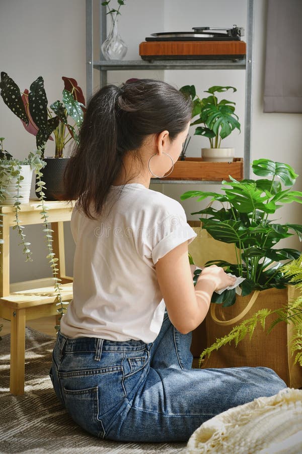 Woman Chilling and Taking Care of Monstera Leaves, Artificial Plant ...