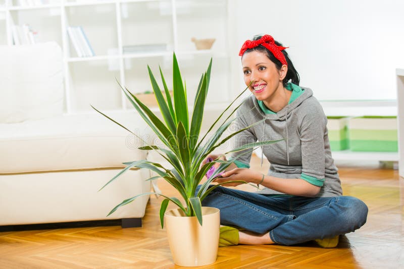 Woman Cleaning Flowers in the Pot Stock Image Image of heome
