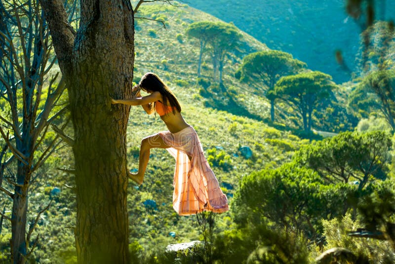 Woman Climbing a Tree in a Forest with Trees in the Background