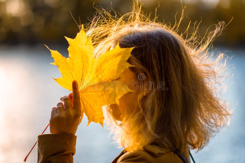 Woman closes her face with yellow leaf in autumn forest at sunset. Beautiful fall nature royalty free stock photos Woman closes her face with yellow leaf in autumn forest at sunset. Beautiful fall nature royalty free stock photos
