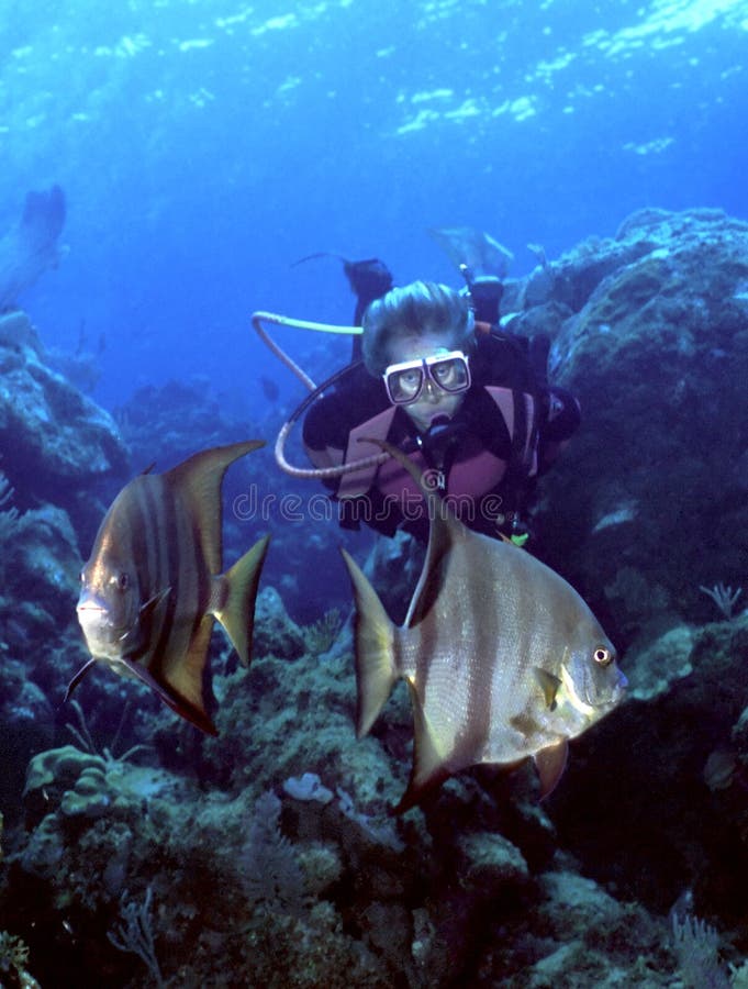 Žena potápěč na mělké Karibiku útes s Atlantic spadefish.