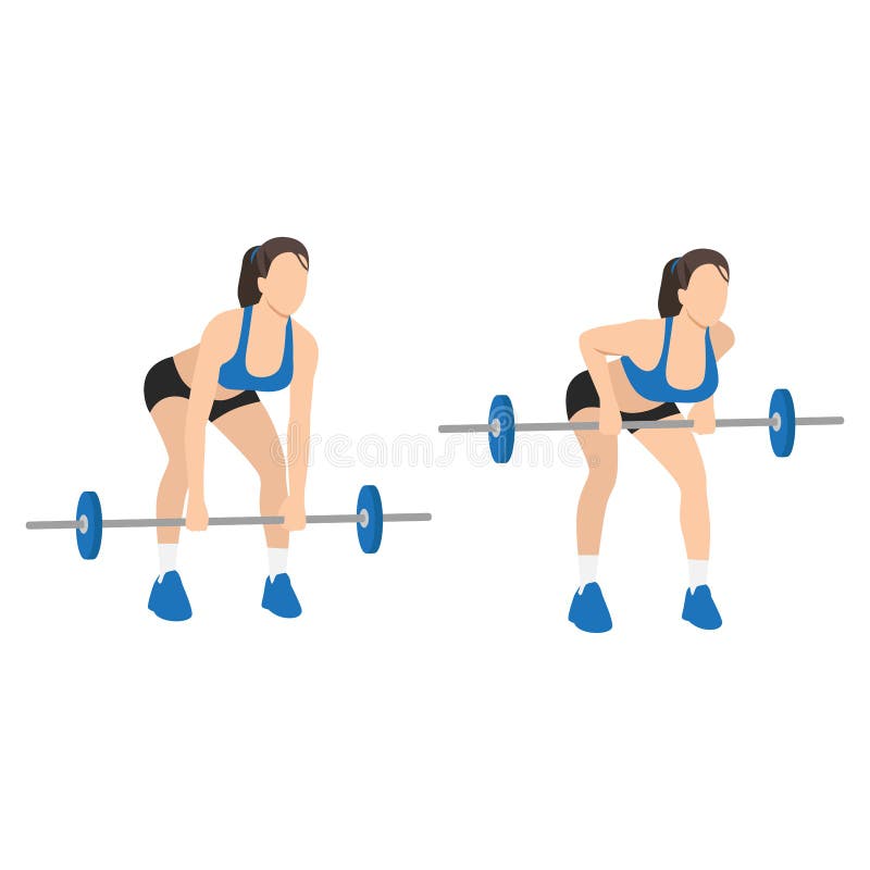 Woman Doing Barbell Deadlifts Exercise Flat Stock Vector (Royalty Free)  2032680896