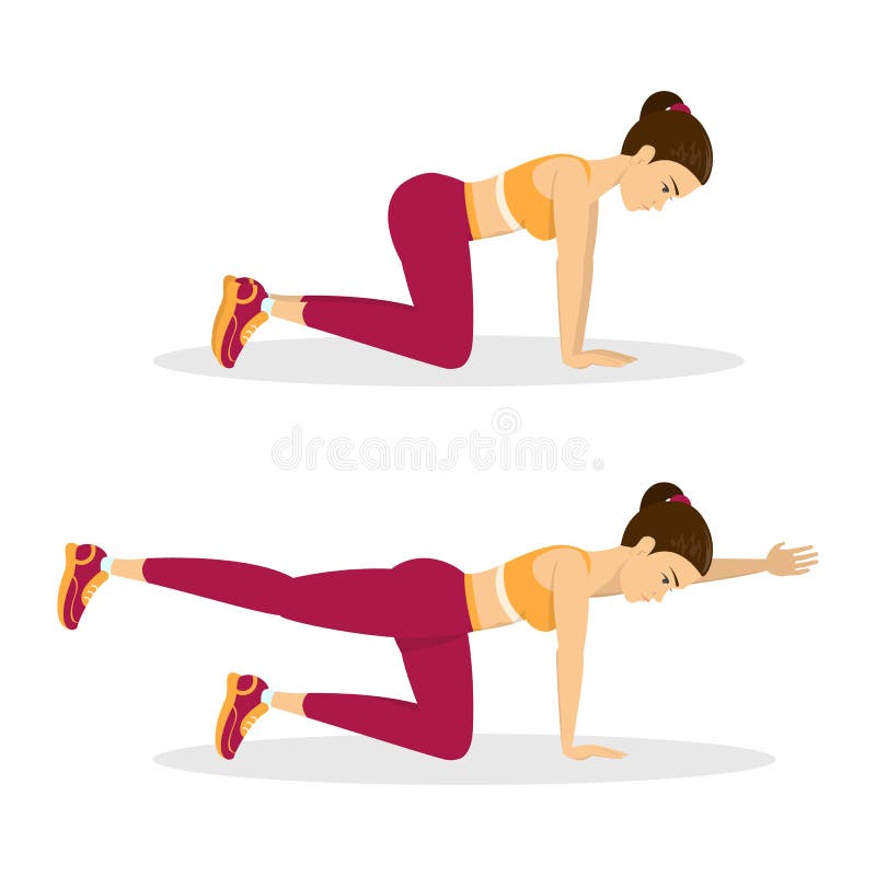 Woman doing bird dog exercise. Exercise for balance royalty free illustration Woman doing bird dog exercise. Exercise for balance royalty free illustration