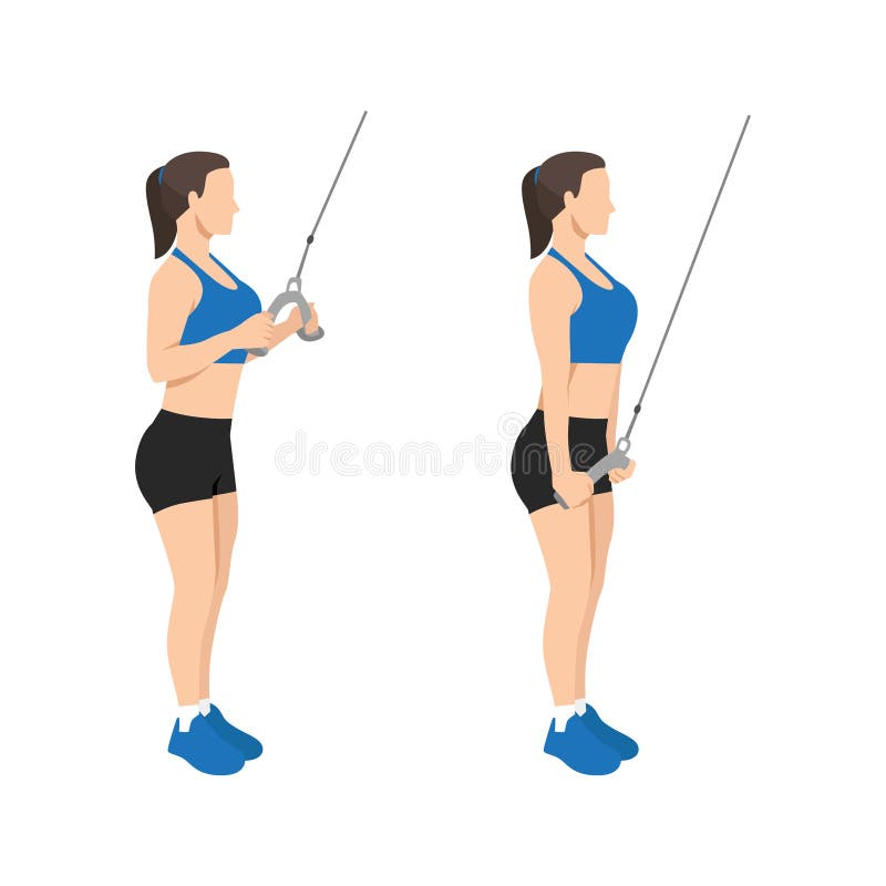 Woman doing cable tricep pull down or push exercise. stock illustration