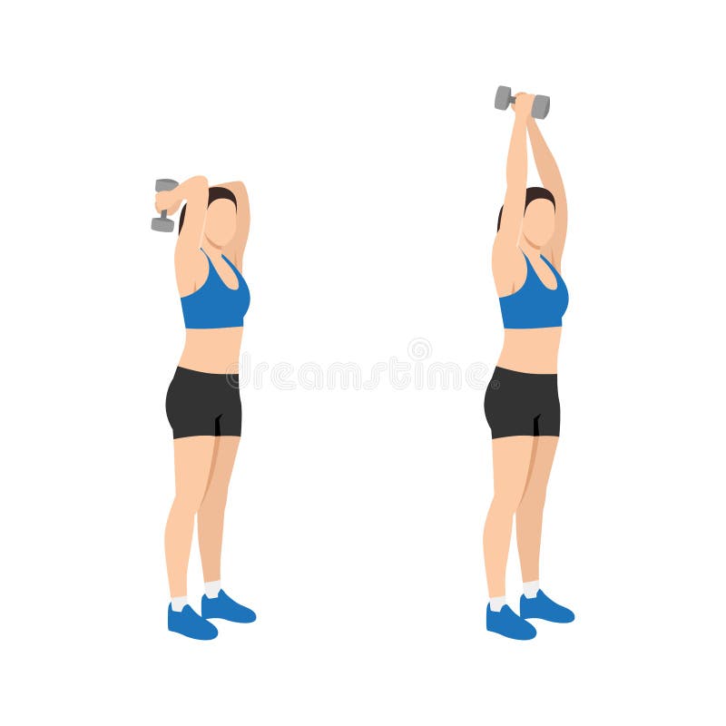 Triceps Stretch Stock Illustrations – 105 Triceps Stretch Stock  Illustrations, Vectors & Clipart - Dreamstime