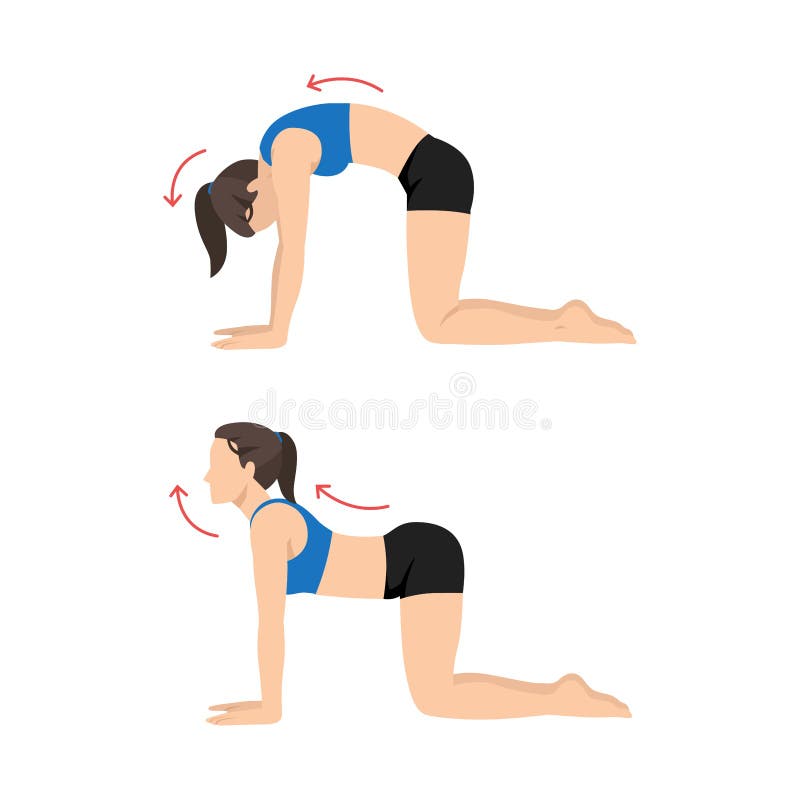 Woman Doing Jumping Jacks Exercise. Flat Vector Stock Vector - Illustration  of healthy, fitness: 223249502