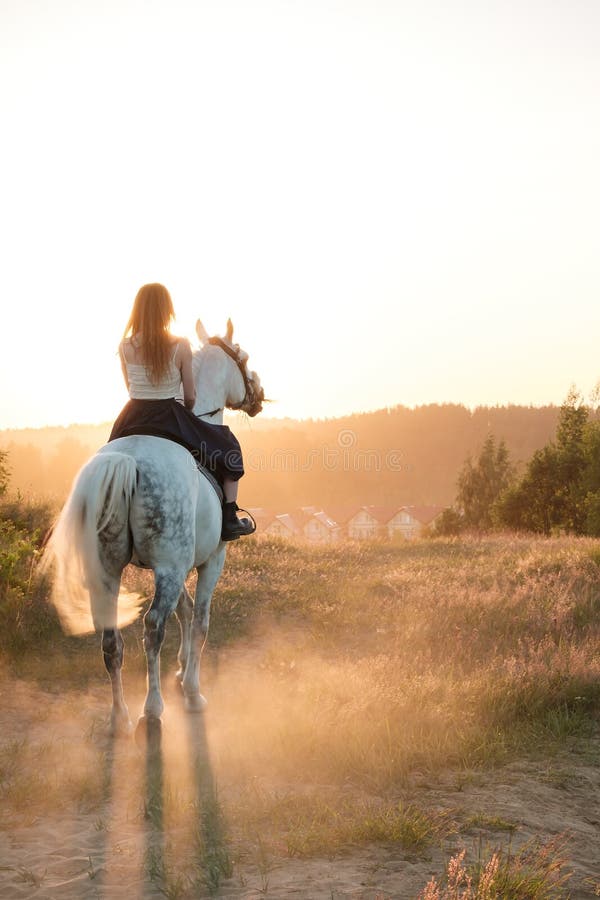Женщина держит лошадь в деревне. Девушка держит лошадь. Верхом на лошади со спины девушка на закате.