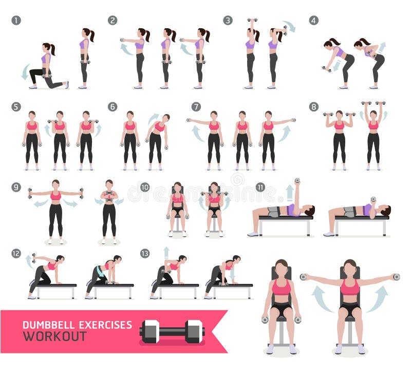 Set Of Cardio Exercise For Slim Arms Workout Or Weight Training For Fit And  Firm Royalty Free SVG, Cliparts, Vectors, and Stock Illustration. Image  52187194.