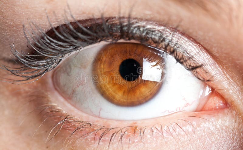 Woman eye royalty free stock photography