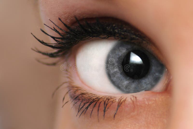 Closeup woman eye mascara and makeup. Clear closeup view stock images, royalty-free photos and pictures
