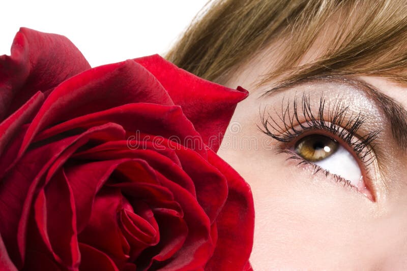 Woman eye and red rose stock photo. Image of woman, eyelashes 5997166
