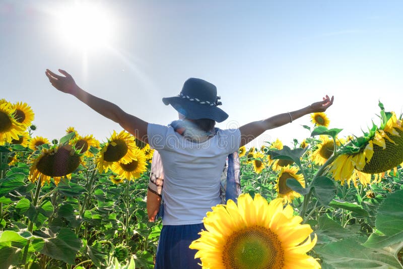 Woman Sunflower Field Facing Sun Stock Photos - Free & Royalty-Free ...