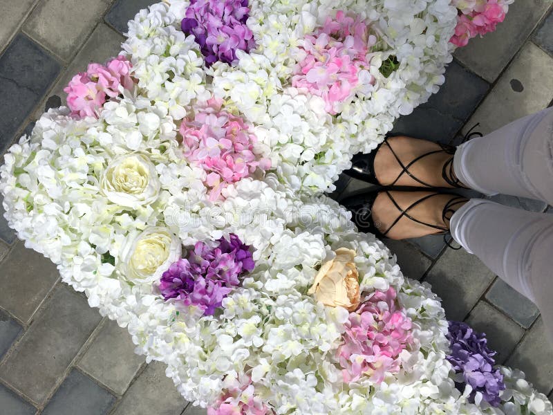 Woman feet, flowers and love royalty free stock photos Woman feet, flowers and love royalty free stock photos