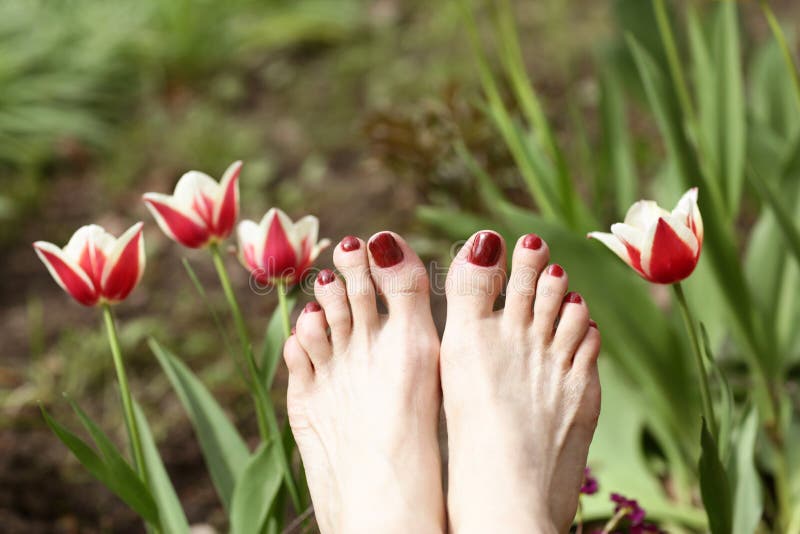 Woman feet with red pedicure on summer green grass with tulips background