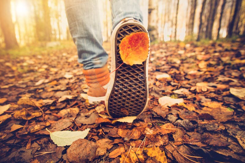 Woman Feet sneakers walking on fall leaves Outdoor