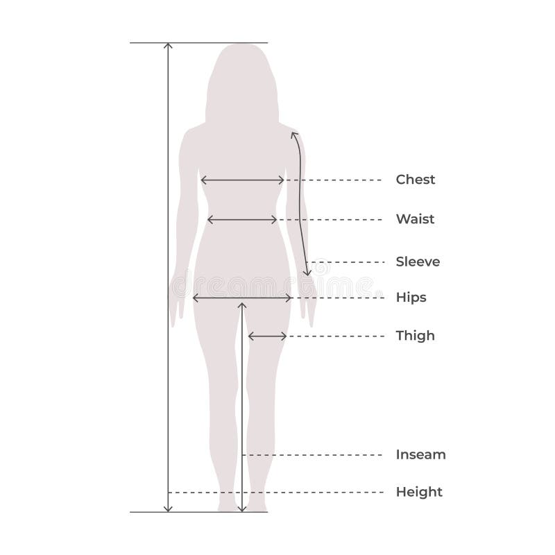 Outline measurements female body Royalty Free Vector Image