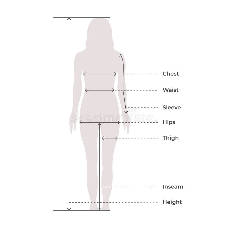 Clothing Size Chart Stock Illustrations – 579 Clothing Size Chart