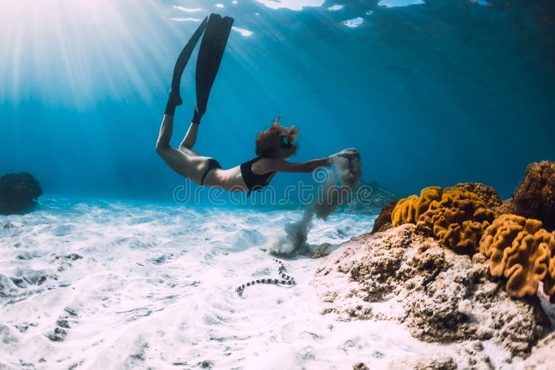 Woman free diver with fins near coral over sandy sea and sea snake stock photo Woman free diver with fins near coral over sandy sea and sea snake stock photo