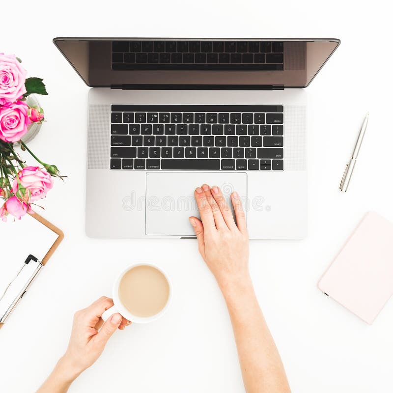 Woman freelancer using laptop and hold coffee mug. Female hands, laptop, pink roses bouquet, coffee mug and diary on white table. stock photos Woman freelancer using laptop and hold coffee mug. Female hands, laptop, pink roses bouquet, coffee mug and diary on white table. stock photos