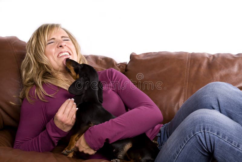 Happy Couple of Men with a Little Chihuahua Stock Photo - Im