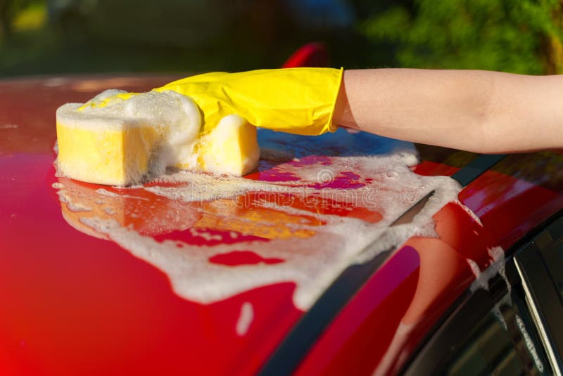 Woman in gloves washes car roof with sponge