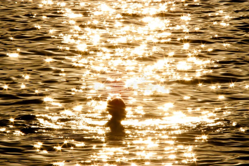 Woman in the golden sea royalty free stock photos Woman in the golden sea royalty free stock photos